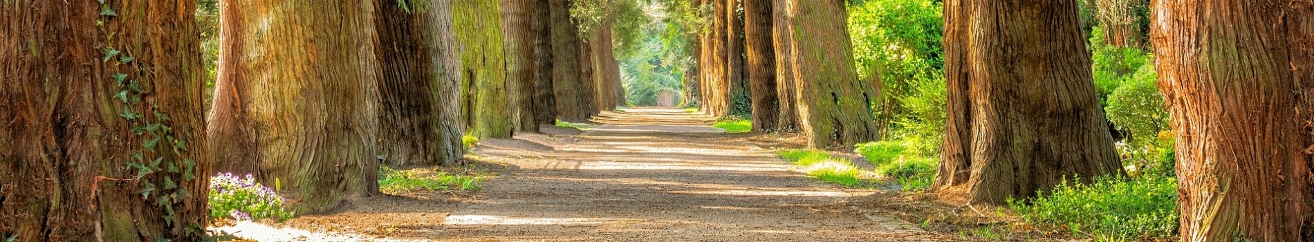 Soins profonds 1h et 1h30