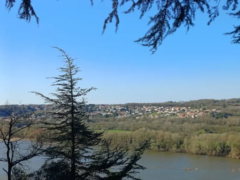 Vue sur la Loire - Oudon depuis Champtoceaux - Marc Sourice, magnétiseur et géobiologue