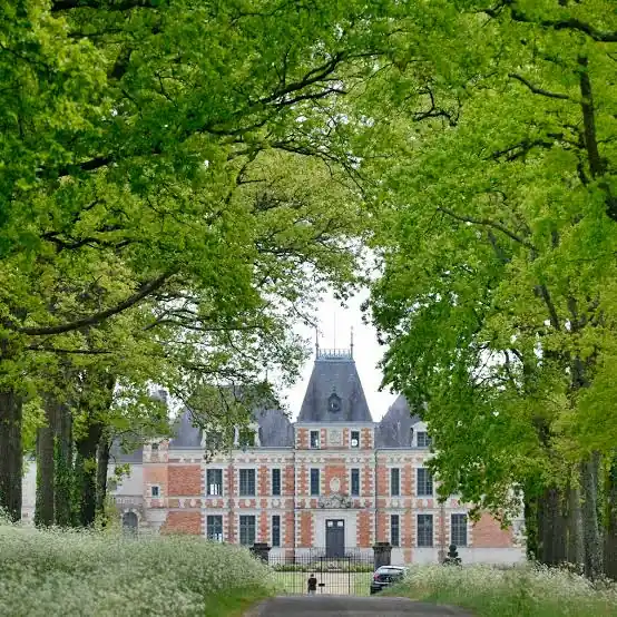 château de Clermont au Cellier