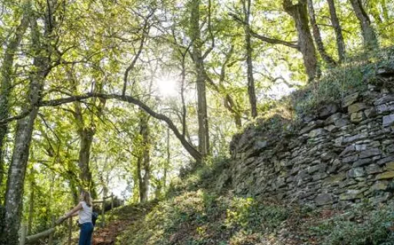 Marc Sourice Magnétiseur Géobiologue - Citadelle de Champtoceaux