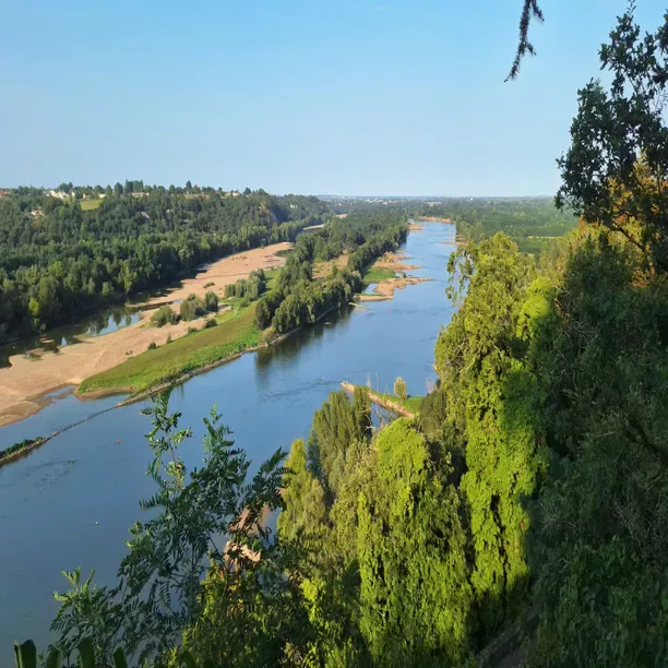 Vue aérienne de la confluence Havre-Loire à Champtoceaux, Loire-Atlantique
